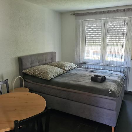 Apartment Am See フリードリヒスハーフェン エクステリア 写真