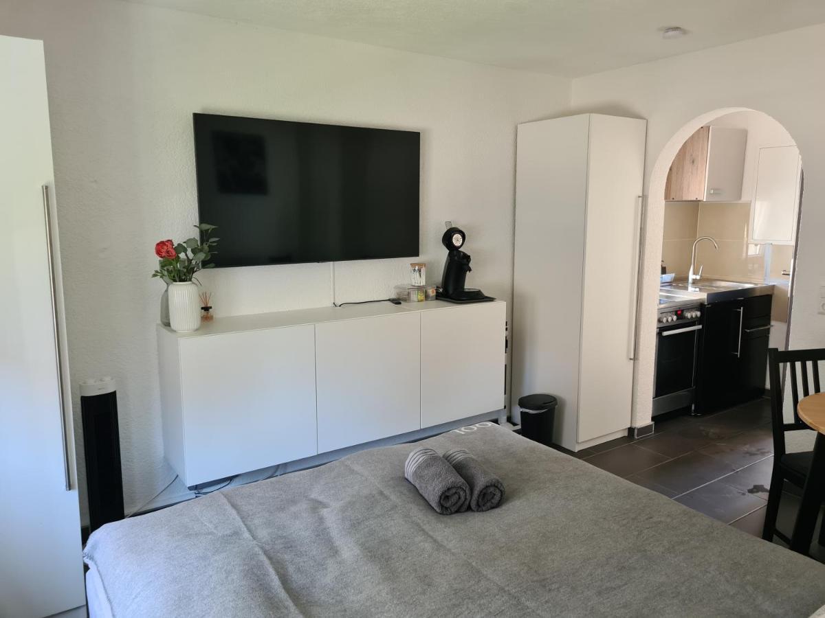 Apartment Am See フリードリヒスハーフェン エクステリア 写真